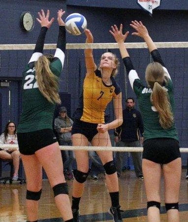 Volleyball athlete